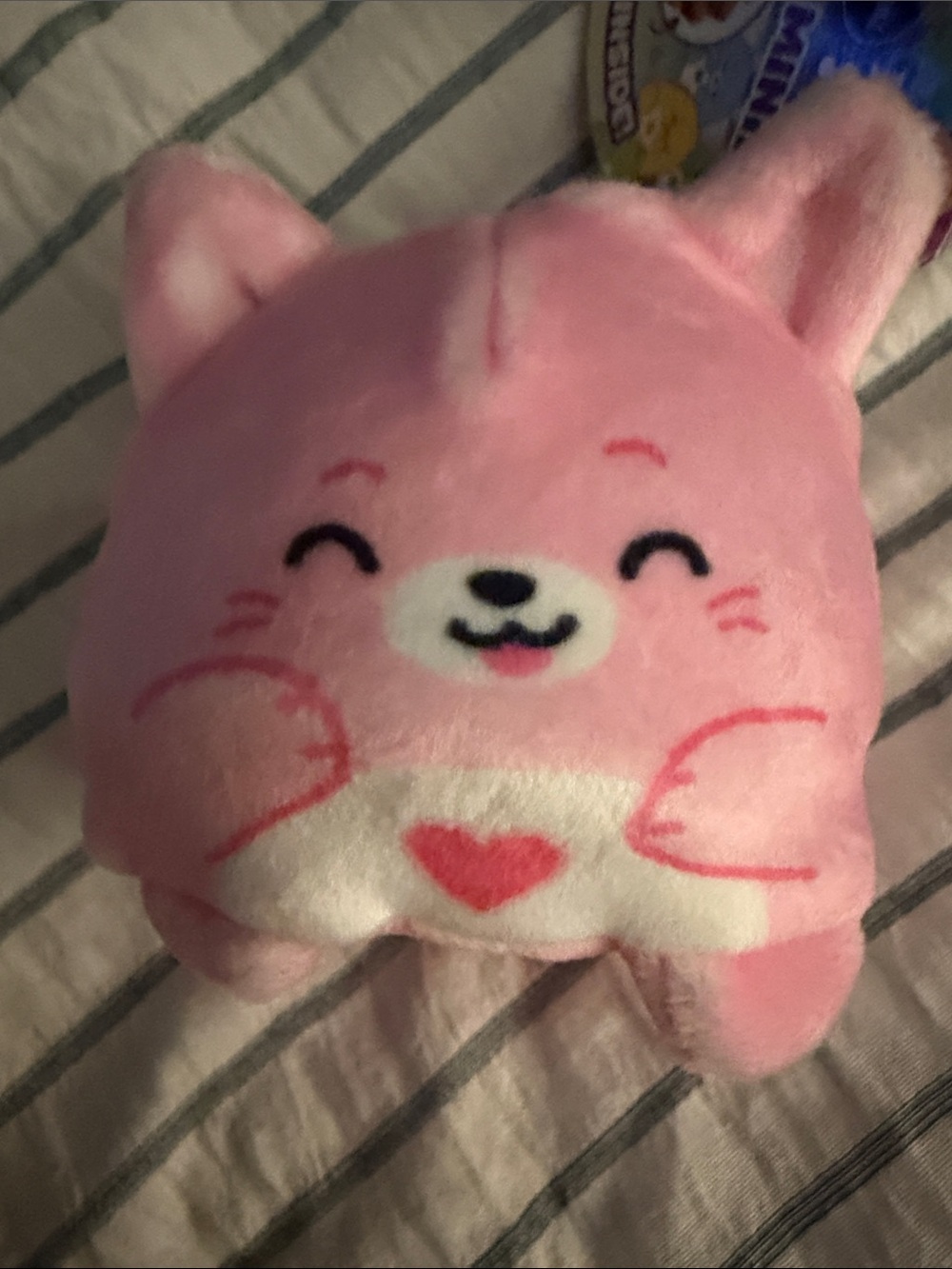 Dumplin' Squisher Moody Minis Pink Cat Plush - SO SOFT! Top Trenz
